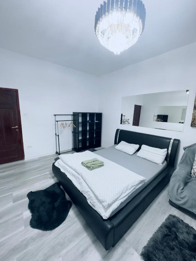 Piata Libertatii Apartament 1 Room Timisoara Exterior photo